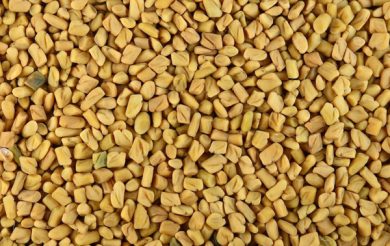 Fenugreek Wonders