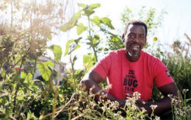 ONE TOMATO REVOLUTION