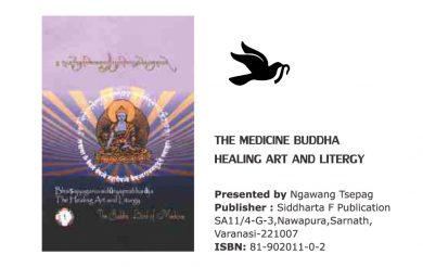 The Medicine Buddha Healing Art And Litergy