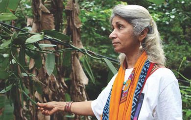 Farming in the Western Ghats