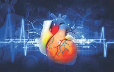 Bengal traditional practices on cardiovascular disorders