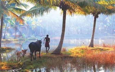 Promote Kerala tourism in a responsible manner
