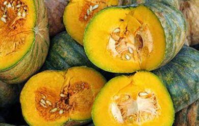 Pumpkin Festival helps struggling farmers, Ayurveda shares its responsibility