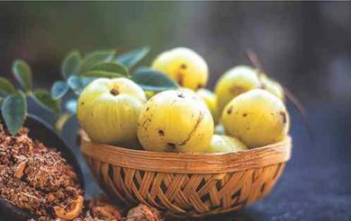 Booti OF THE Month  : Amla/Amalaki – The Rejuvenator