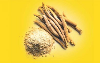 Pump your Immune System with Ayurvedic Herbs