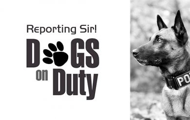Reporting Sir ! Dogs on Duty
