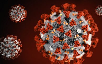 ‘It’s a razor’s edge we’re walking’: Inside the race to develop a coronavirus vaccine