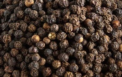 Black pepper may hold the key for Corona fighting drug