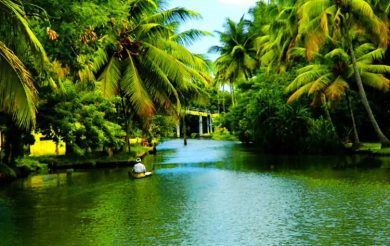 Kerala to tap Ayurveda to revive tourism in the state