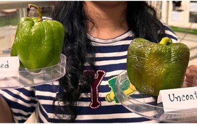 New edible coating to prolong shelf life of fruits and vegetables