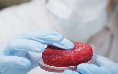 HERE COMES THE CULTURED MEAT