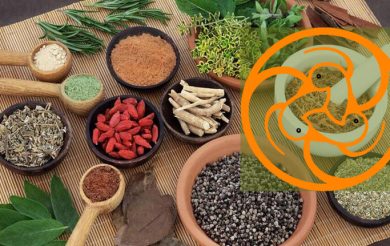 NCERT Adds Ayurveda to School Science Curriculum