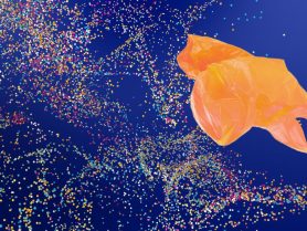 Microplastics in the Air? Ayurveda Suggests Natural Ways to Protect Your Lungs