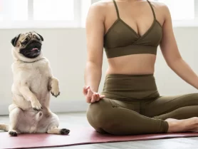 ‘Overwhelmed and Distressed’: Petition Calls to Ban Puppy Yoga Events