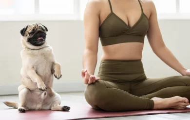 ‘Overwhelmed and Distressed’: Petition Calls to Ban Puppy Yoga Events