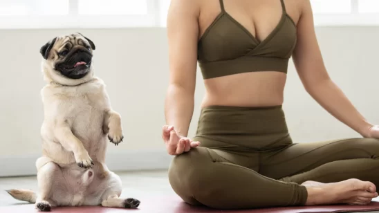 ‘Overwhelmed and Distressed’: Petition Calls to Ban Puppy Yoga Events