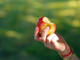 Nutrition Thinking Is Moving Beyond Calories and Nutrient Counting
