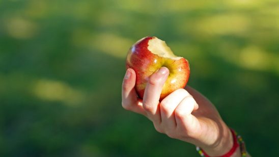 Nutrition Thinking Is Moving Beyond Calories and Nutrient Counting
