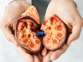 India’s Growing Kidney Disease Burden Raises Public Health Concerns