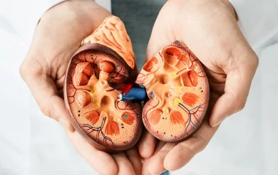 India’s Growing Kidney Disease Burden Raises Public Health Concerns