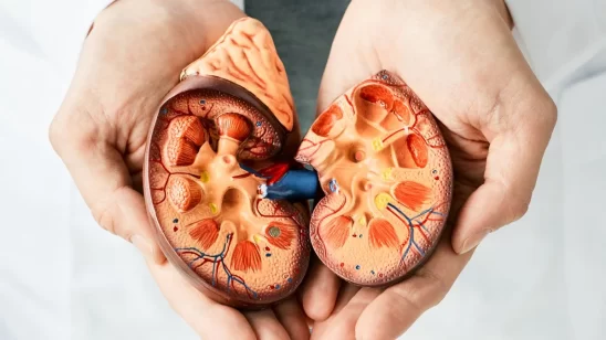 India’s Growing Kidney Disease Burden Raises Public Health Concerns