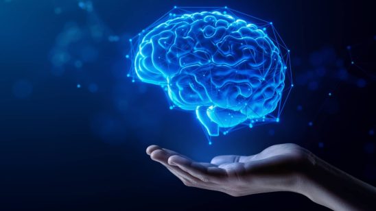 Daily Habits That Can Improve Memory and Sharpen Focus
