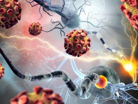 Udupi Ayurveda Conference to Focus on Autoimmune Disorders